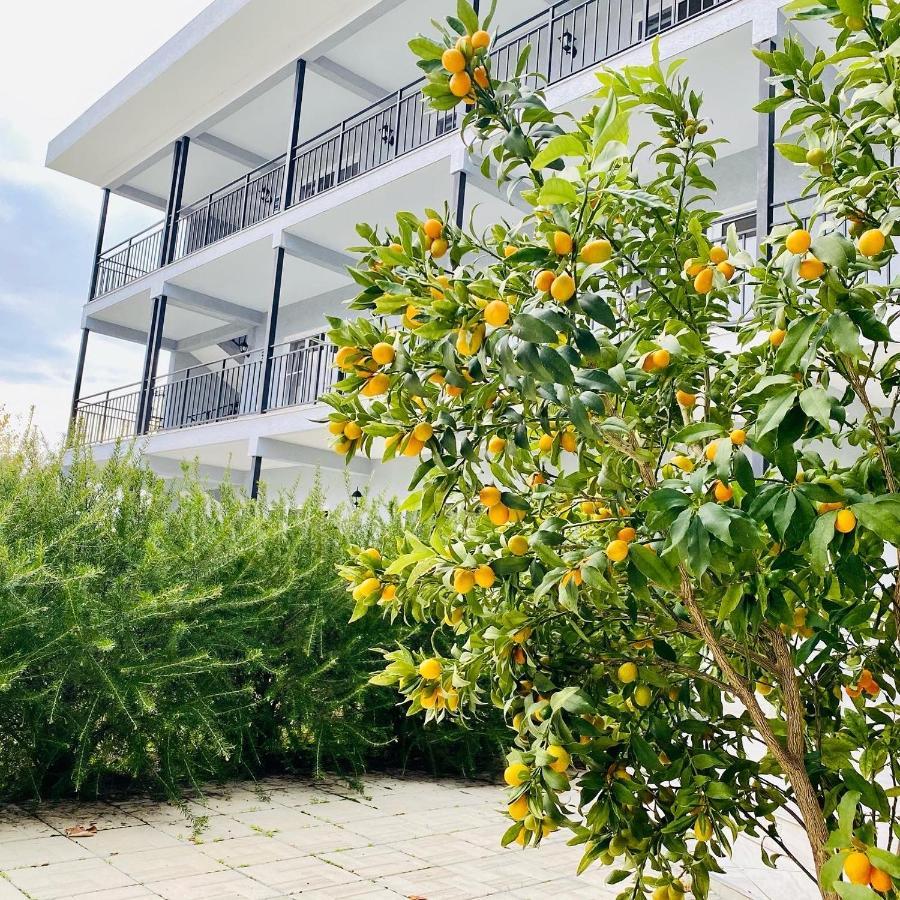 Hotel Mandarin Pizunda Exterior photo
